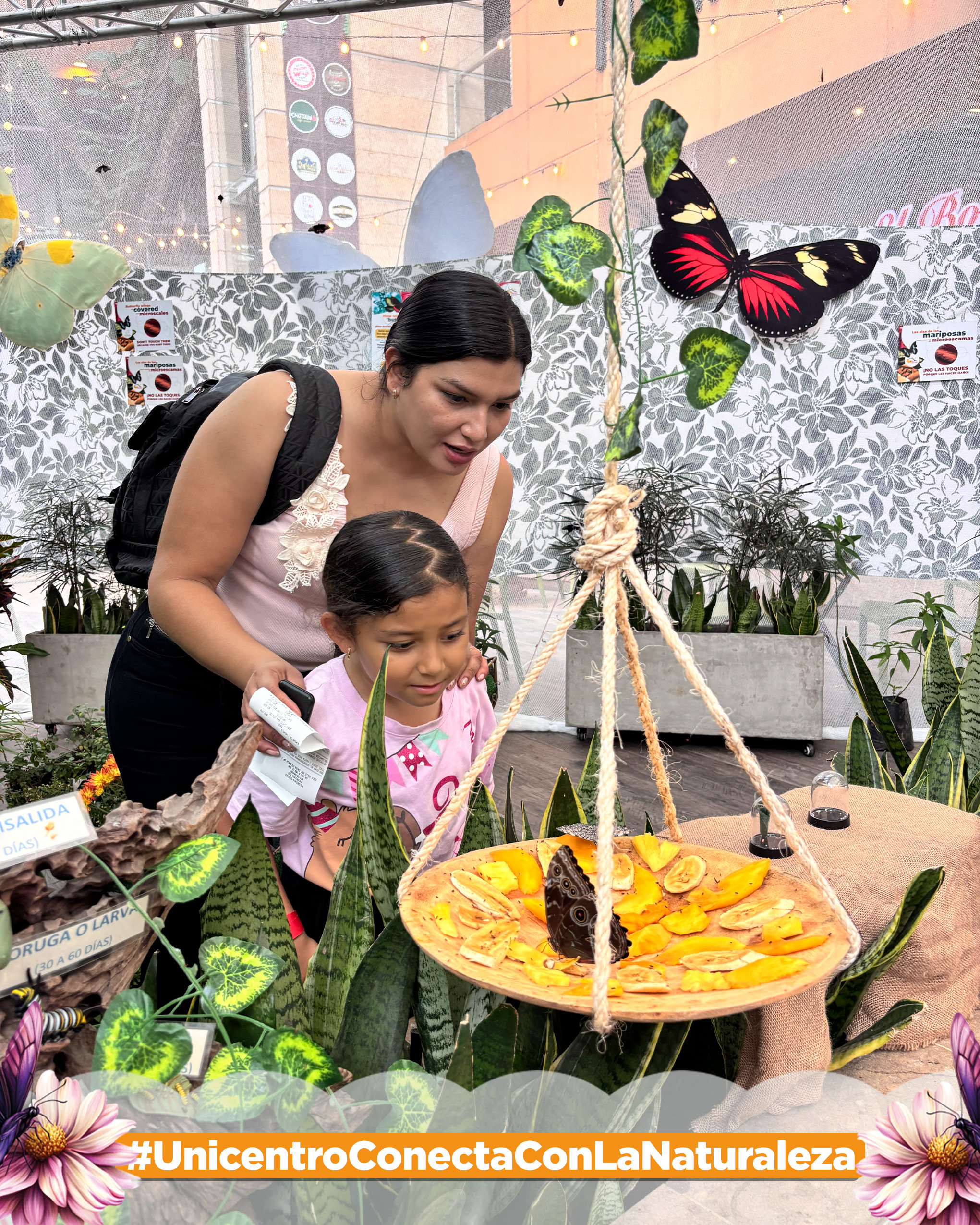 Mariposario Unicentro